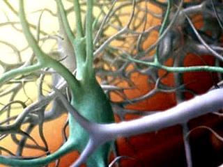 Illustration for article titled Top 5 Best Science Images of 2007 Gallery